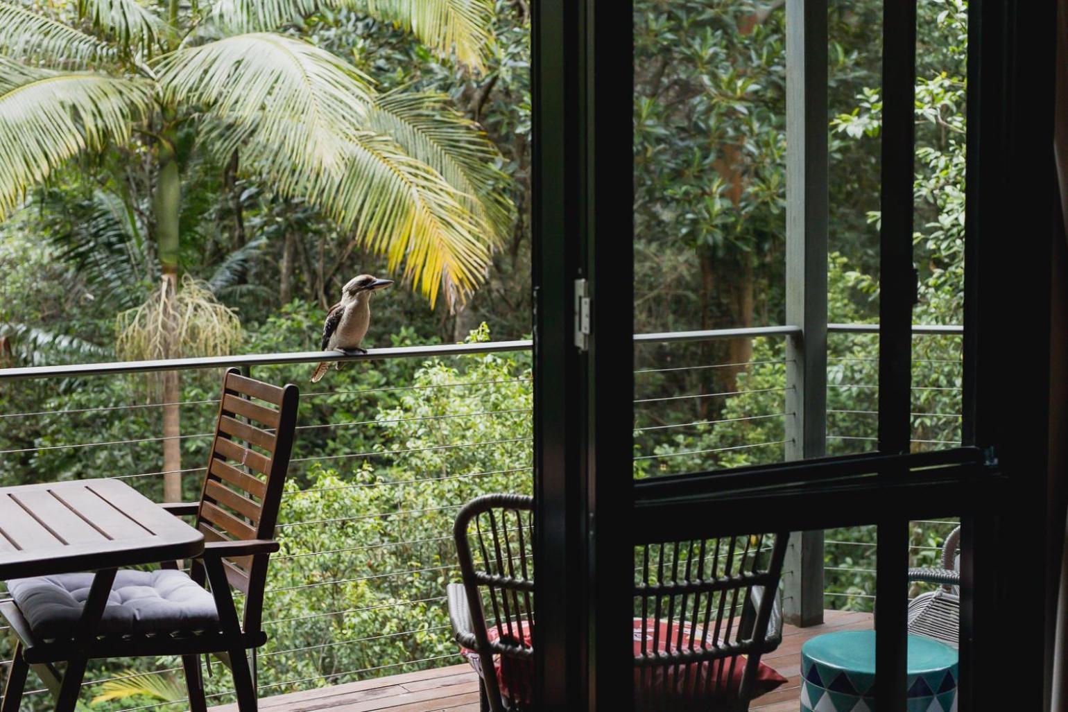 Kondalilla Eco Resort Montville Esterno foto