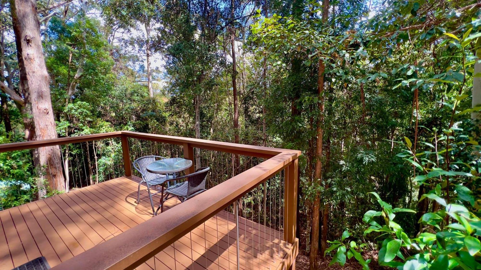 Kondalilla Eco Resort Montville Esterno foto